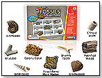 GeoSafari Fossils Collection by EDUCATIONAL INSIGHTS INC.
