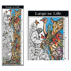 Color Your Own Large as Life Growth Chart by HYGLOSS PRODUCTS INC.