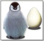 Wild Creations™ Science & Nature™ - Shuffling Penguin by WILD CREATIONS